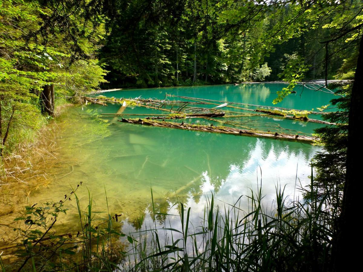 Waldnerhuette Villa แฮร์มากอร์ ภายนอก รูปภาพ